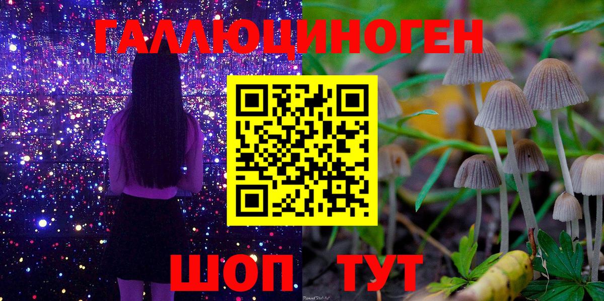Ставрополь  Псилоцибиновые грибы Psilocybine cubensis  Вход с VPN 